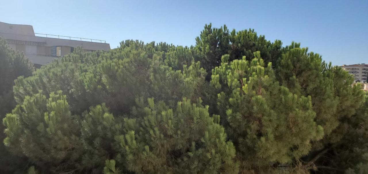Frejus Plage La Miougrano, T2-3 49M2, 5 Personn Exterior foto